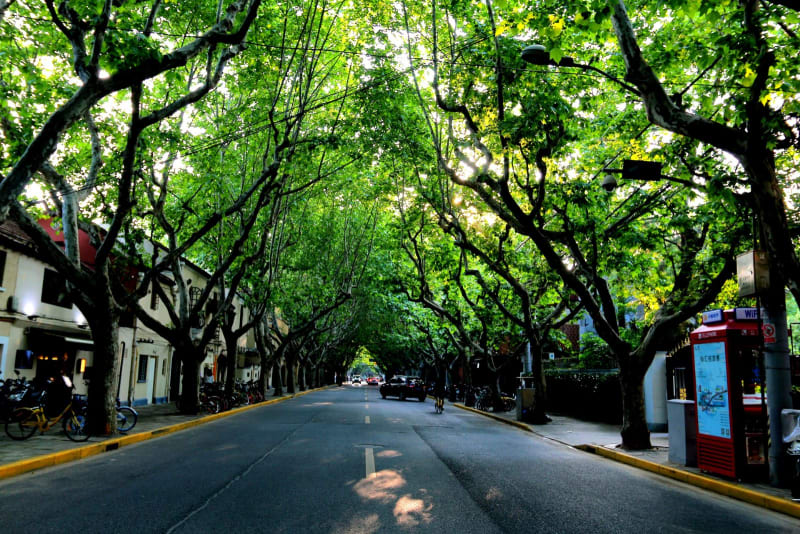 fuxing-road-Shanghai