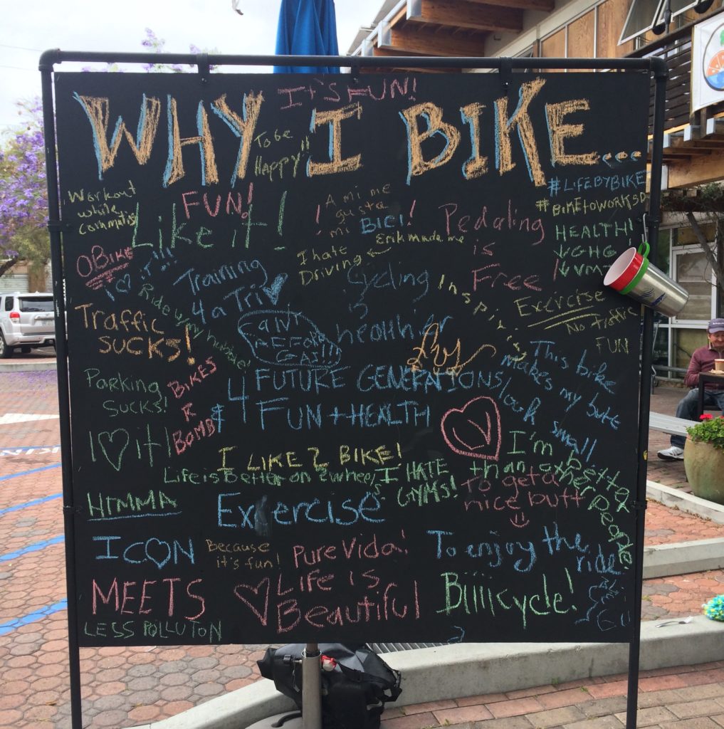 Why_I_Bike_Mixte