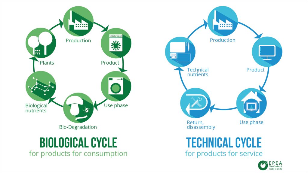 Biological and Technical Cycles in the Circular Economy