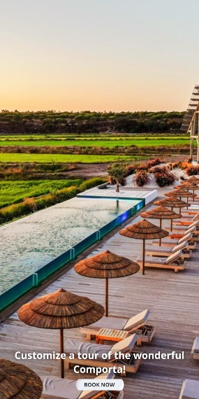 Customize your Tour in Comporta