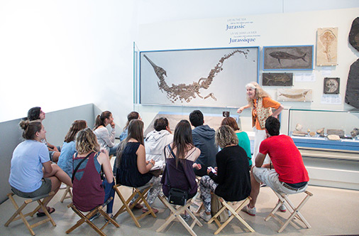 Customized-Group-Intro2