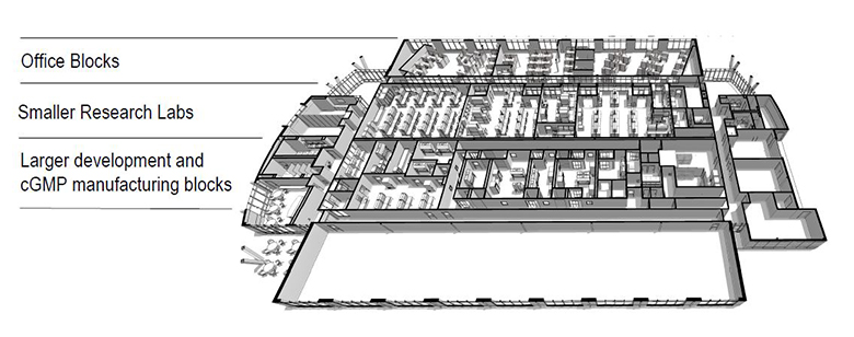 Plan view of graduate science incubator with offices and cGMP manufacturing blocks. 