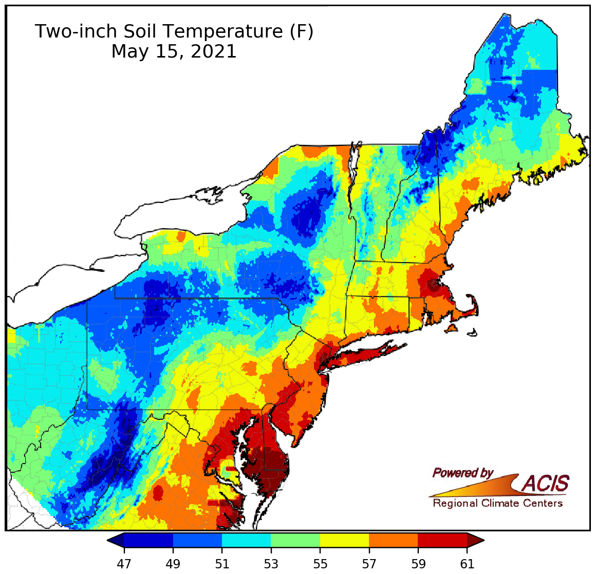 Take your soil's temperature to make sure seeds and plants can