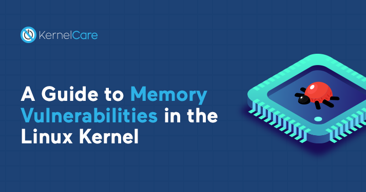 A Guide to Memory Vulnerabilities in the Linux Kernel