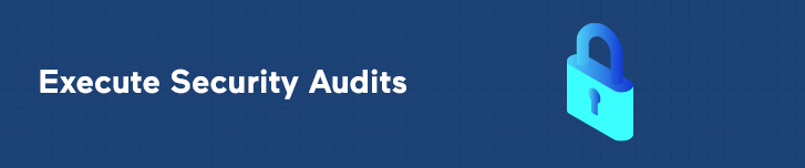 Execute Security Audits