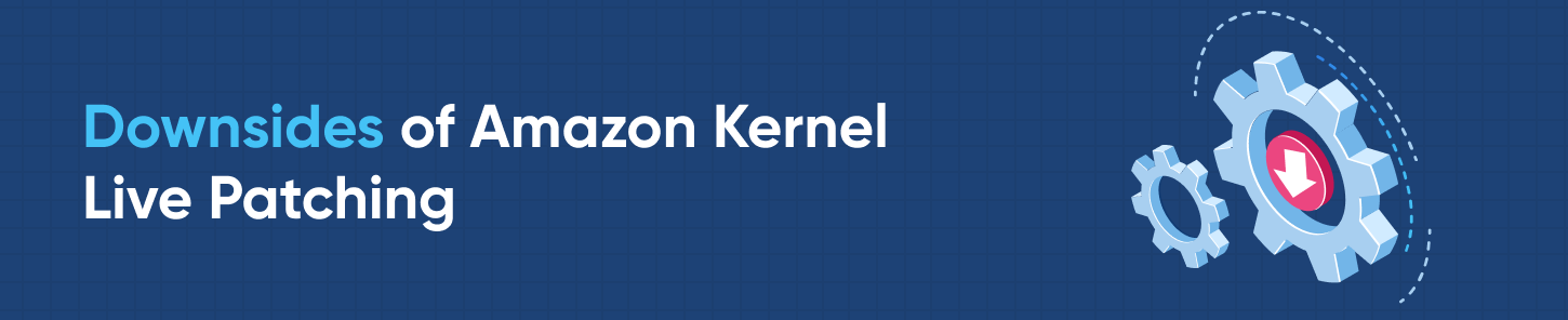 Amazon Kernel 라이브 패치의 단점
