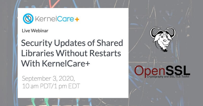 Security Updates of Shared Libraries Without Restarts With KernelCare+-1