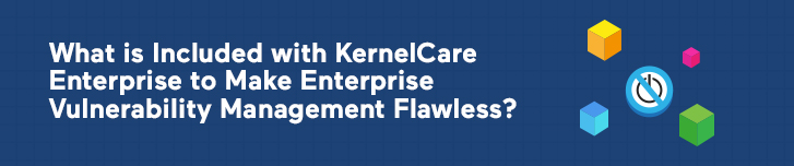 What is Included with KernelCare Enterprise to Make Enterprise Vulnerability Management Flawless?