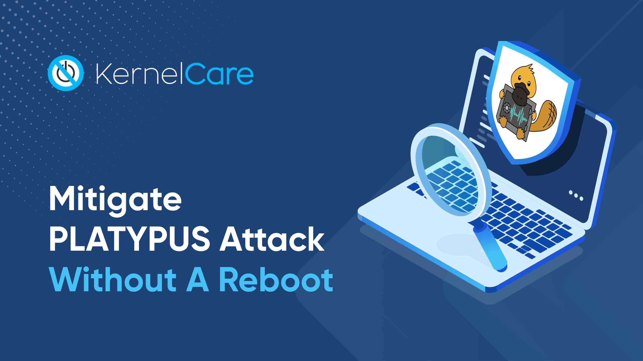Mitigate PLATYPUS Attack Without A Reboot