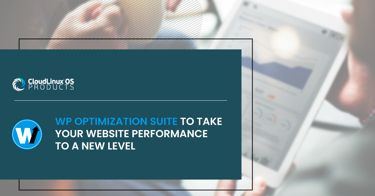WP Optimization Suite to Take Your Website Performance to a New Level