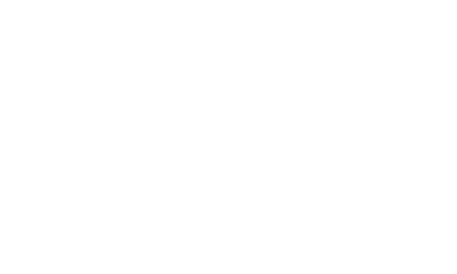 Value Capture White Logo Transparent 500