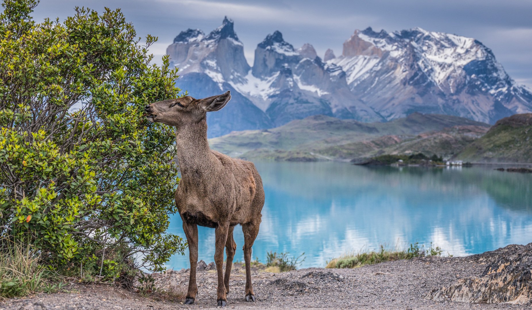 20 Insane Pictures of Torres del Paine You'll Only See on Instagram