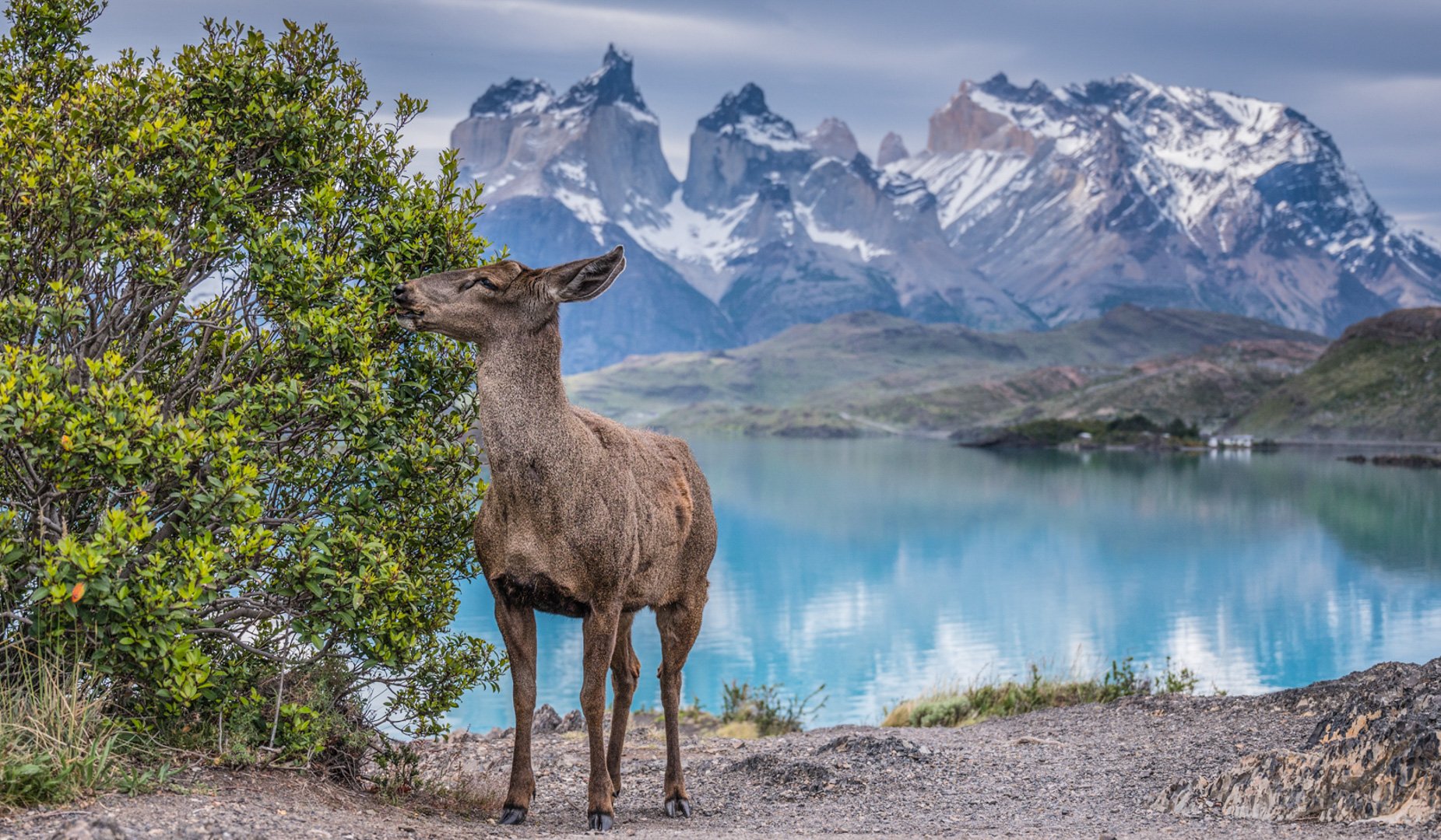 Torres del Paine National Park photos: 20 Insane Pictures to enjoy