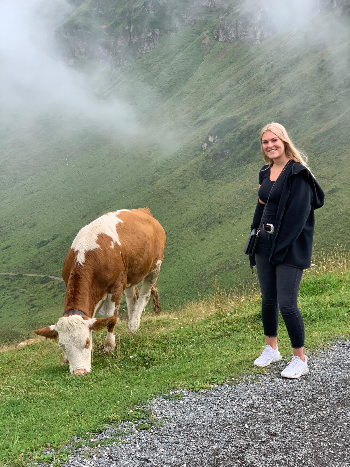 A girl standing towards a cow in Tirol