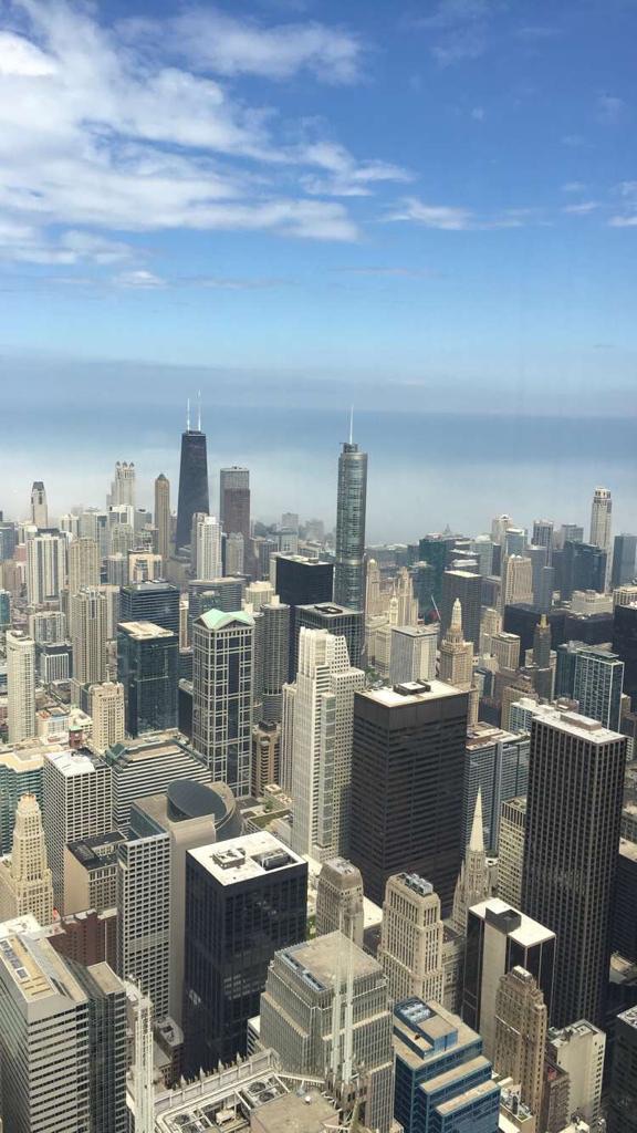 Chicago Skyline, Willis Tower