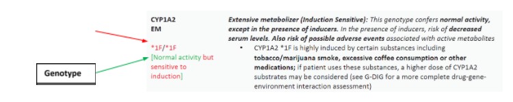 CYP1A2 example