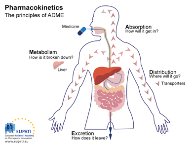 Introduction to Pharmacokinetics on Make a GIF