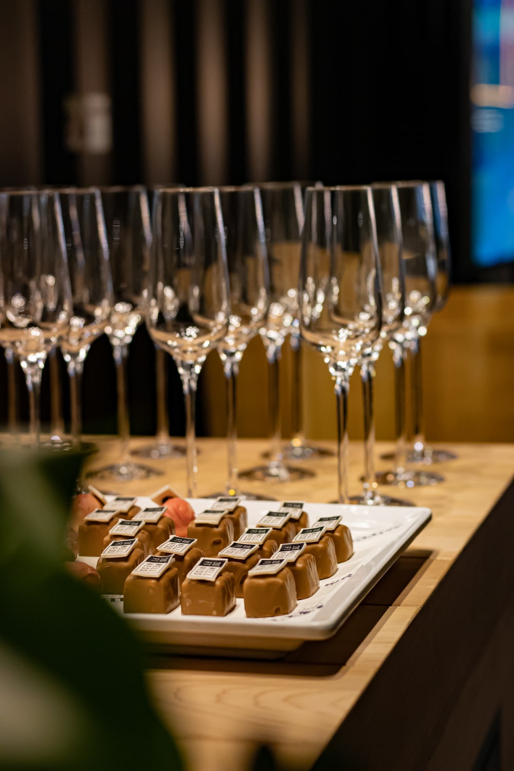 Masters expo 20ft Wellness 6