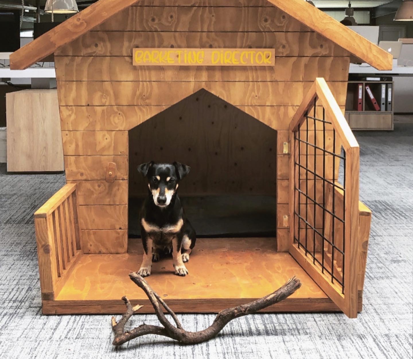 Teun voor zijn hondenhok