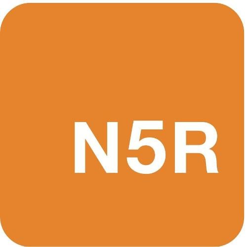 N5R.com Inc