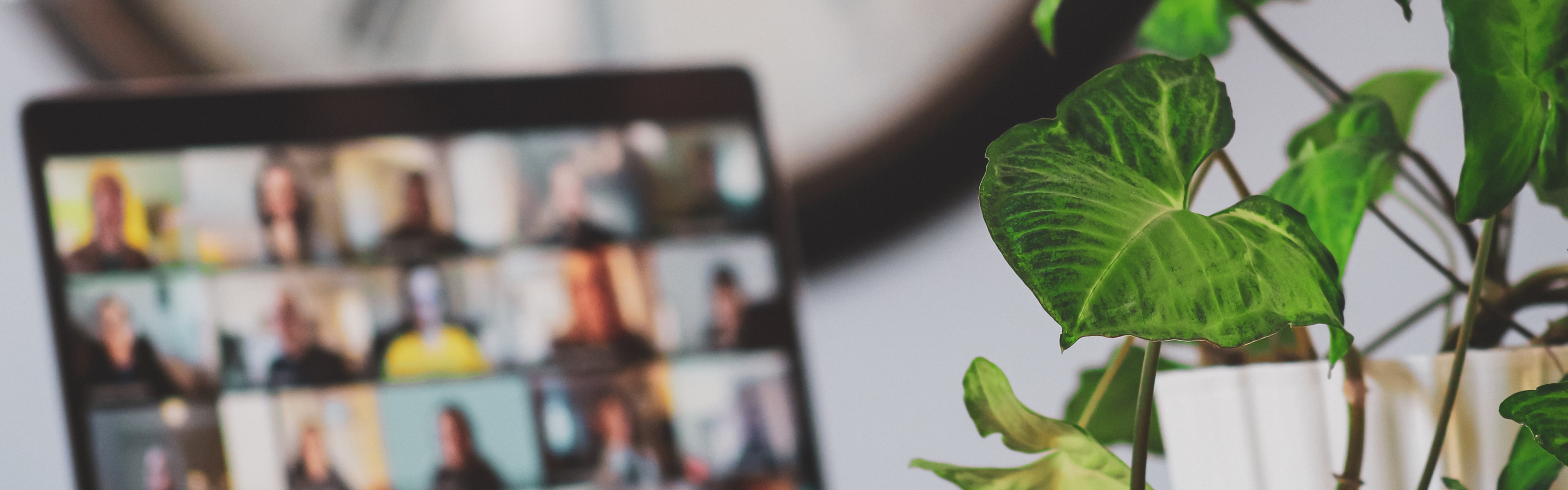 Aug 5 2021 Growth Report Braintrust Blog Banner