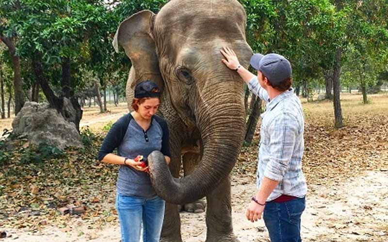 Get TEFL Certified and teach English in Cambodia