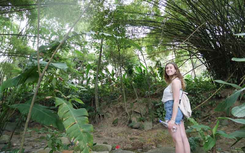 How much money can you make teaching English in Colombia