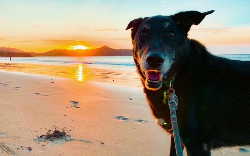 TEFL jobs Costa Rica