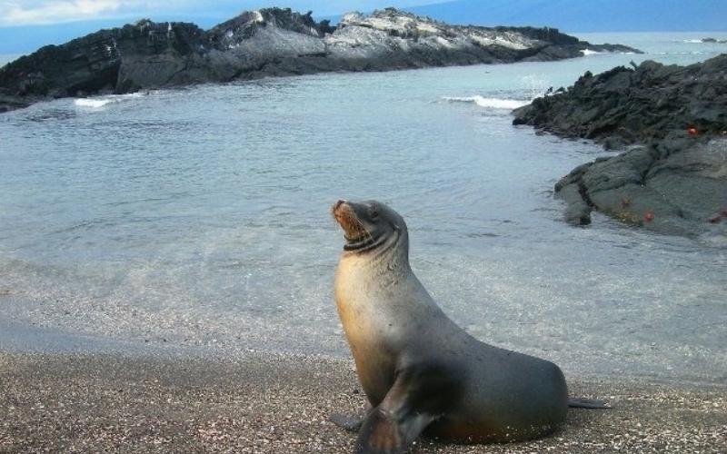 Galapagos Islands, Ecuador