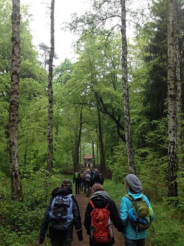 Teach English in Germany Language Farm