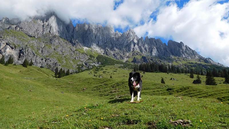 Review of English Summer Camp in Austria and Italy