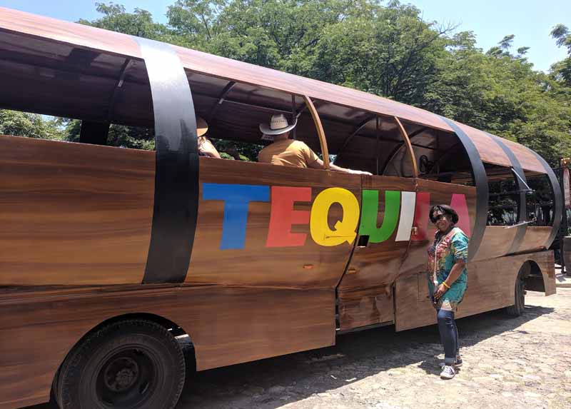 Teach English Online TEFL Certification