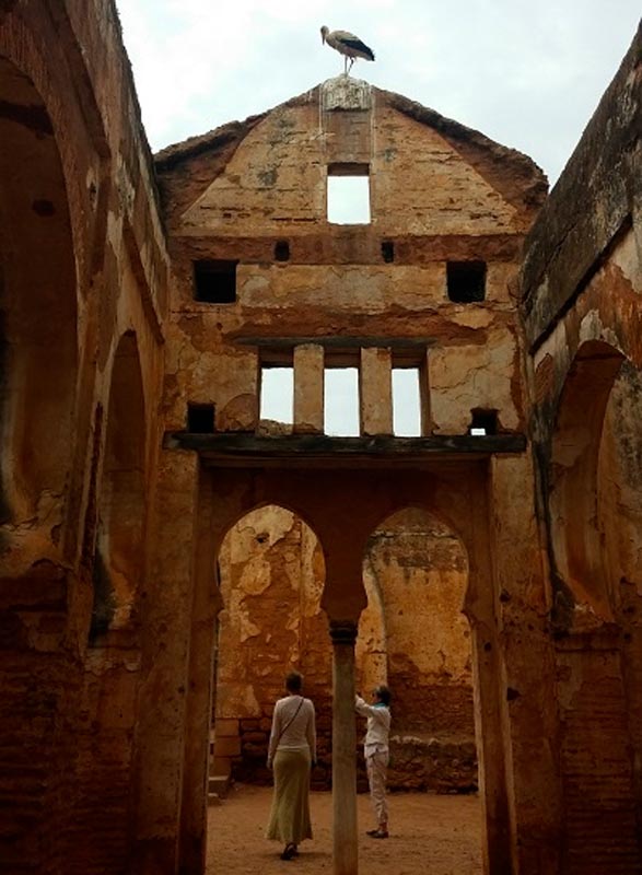 Teach English in Morocco TEFL