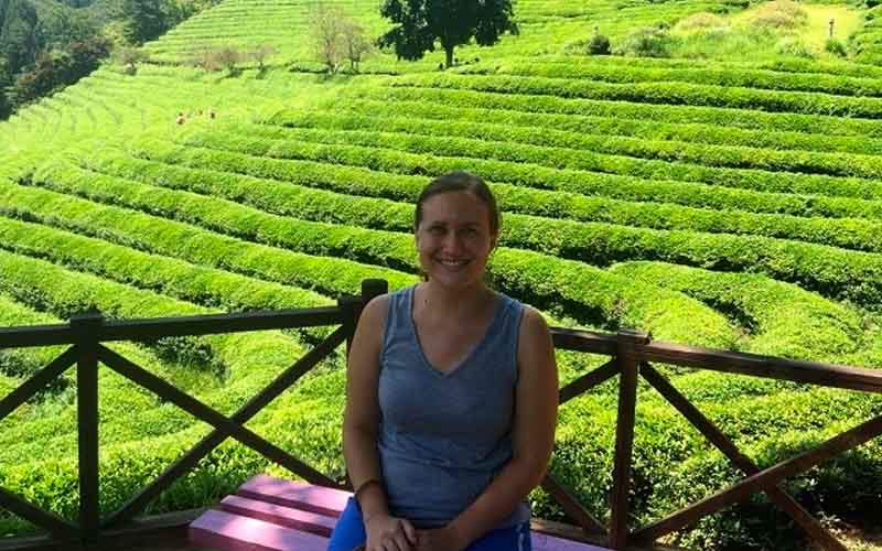 Get TEFL Certified and teach English in South Korea