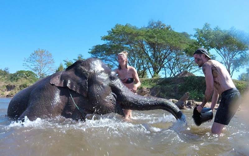 TEFL Vietnam English Teacher