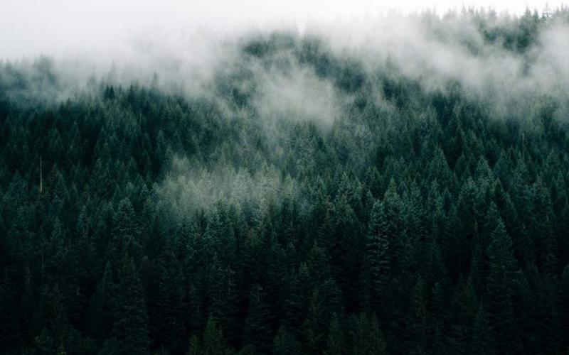 ITA Cares Charity participant