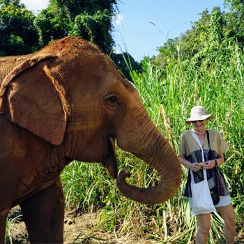 Sandra Wagner Admissions Advisor