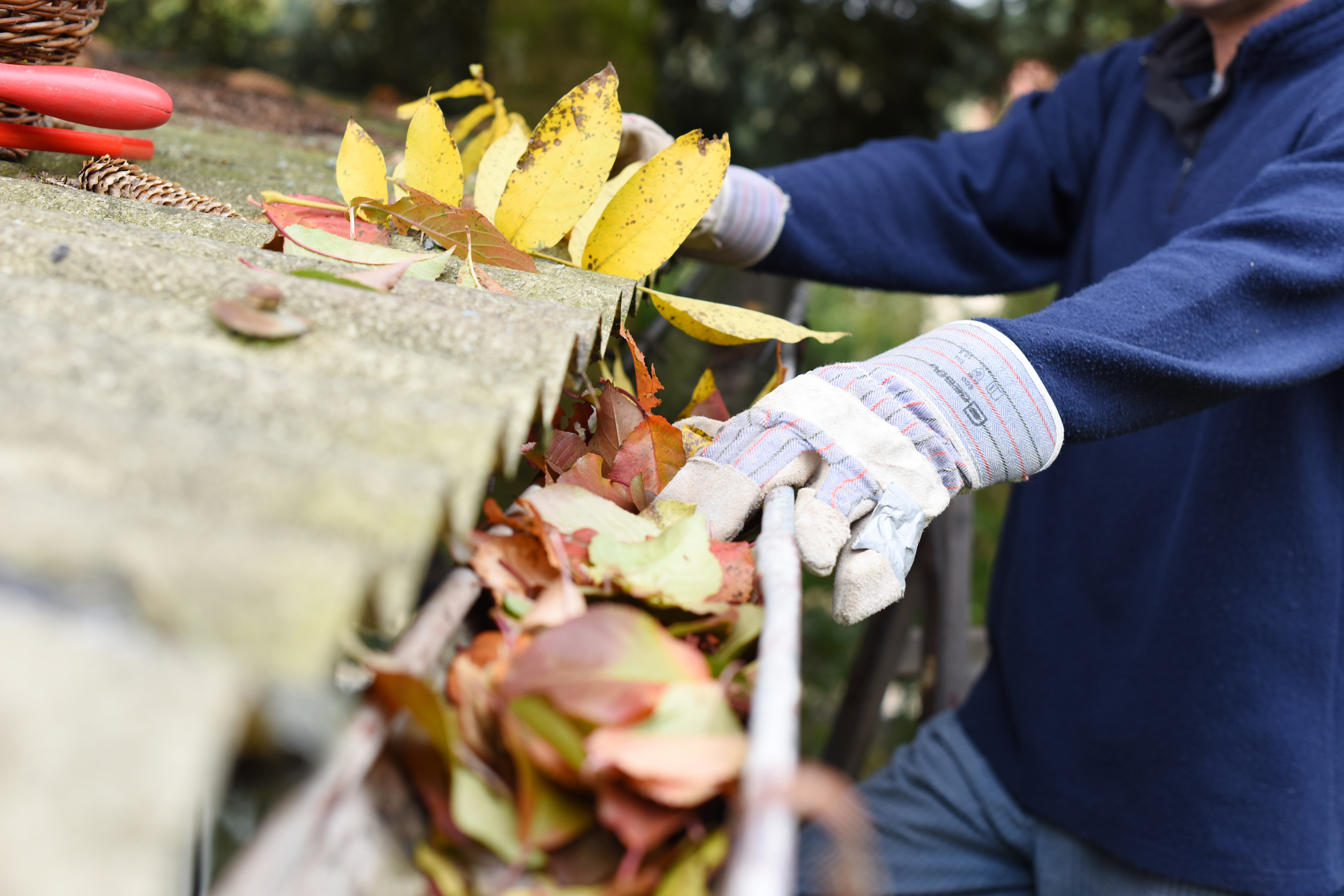 Clean Gutter