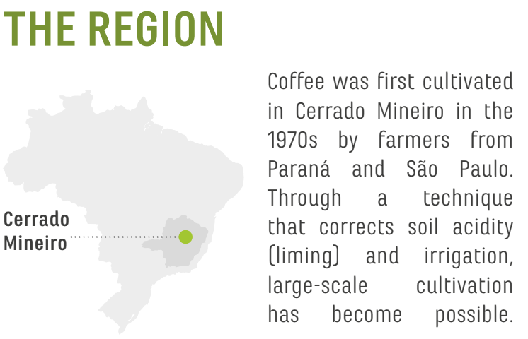 Brazil Coffee