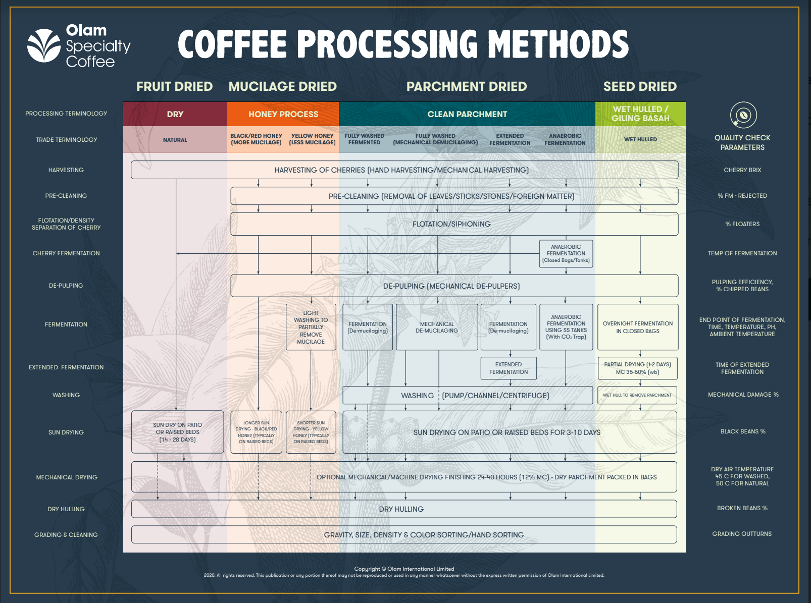 Coffee Processes