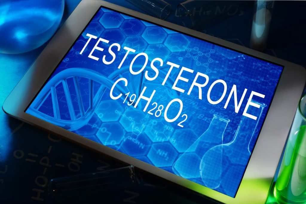 What is testosterone? And why is it so important?
