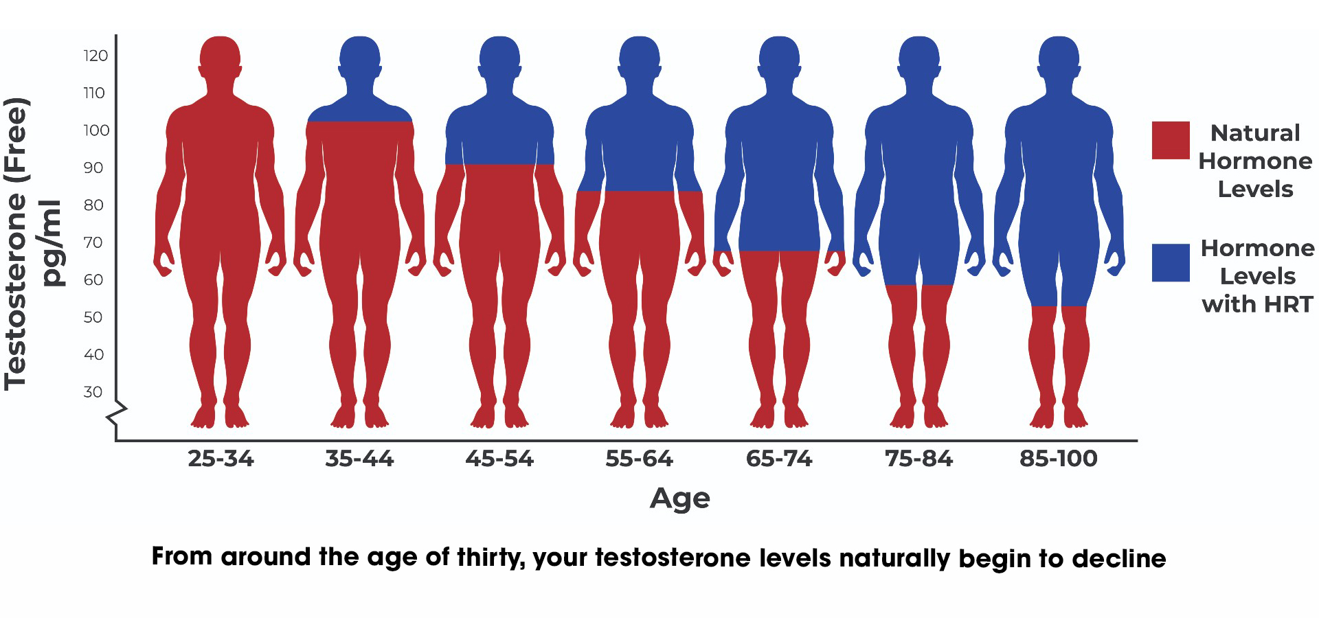 Testosterone decline in men