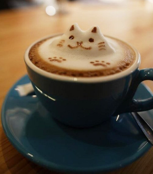 Catpuccino - Unique Coffee Displays - Photo Friday Stephen Einhorn