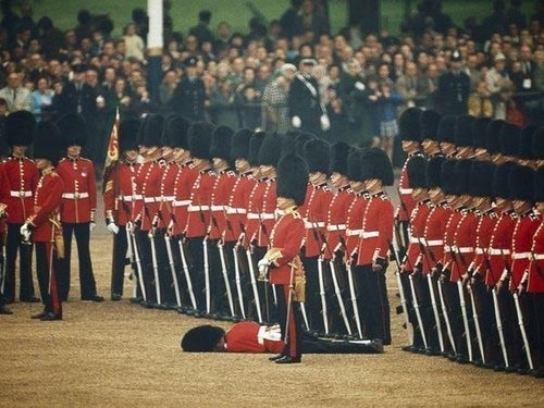 Palace Guards London - Just Don't Look At Him - Fallen Guard