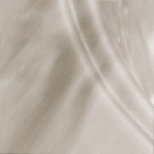 D1-Moonstone-Shell