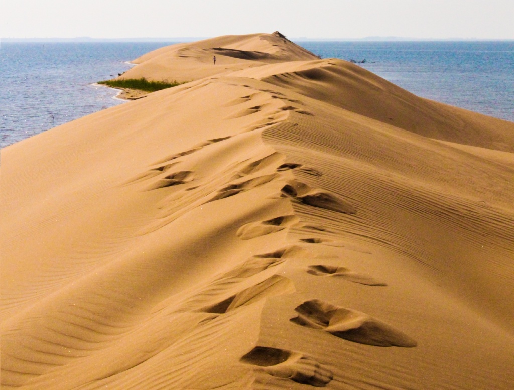 Dunas de San Cosme y Damian