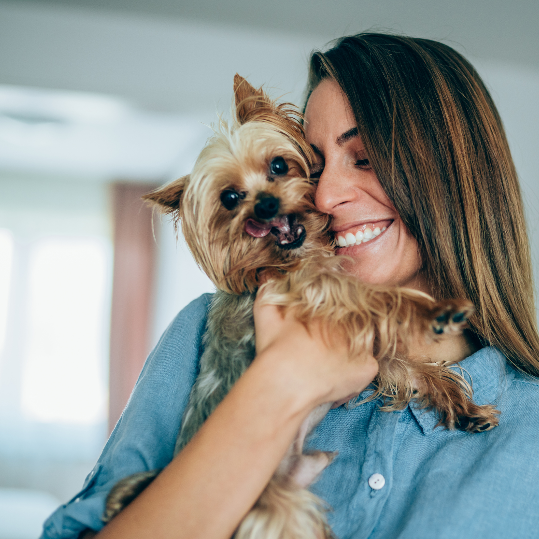 Perché avere un cane ci fa vivere meglio