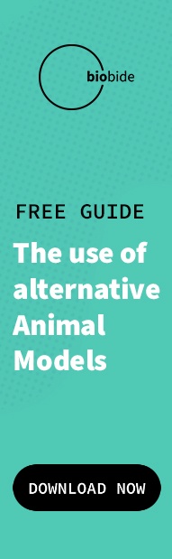 Types of Animal Testing and How Alternative Models Can Be Used