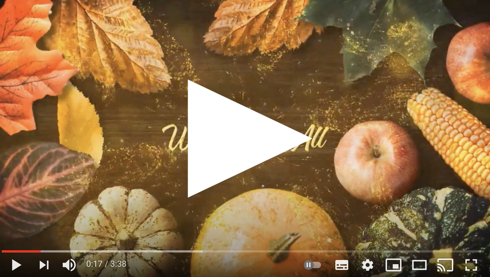 Thanksgiving Primaria