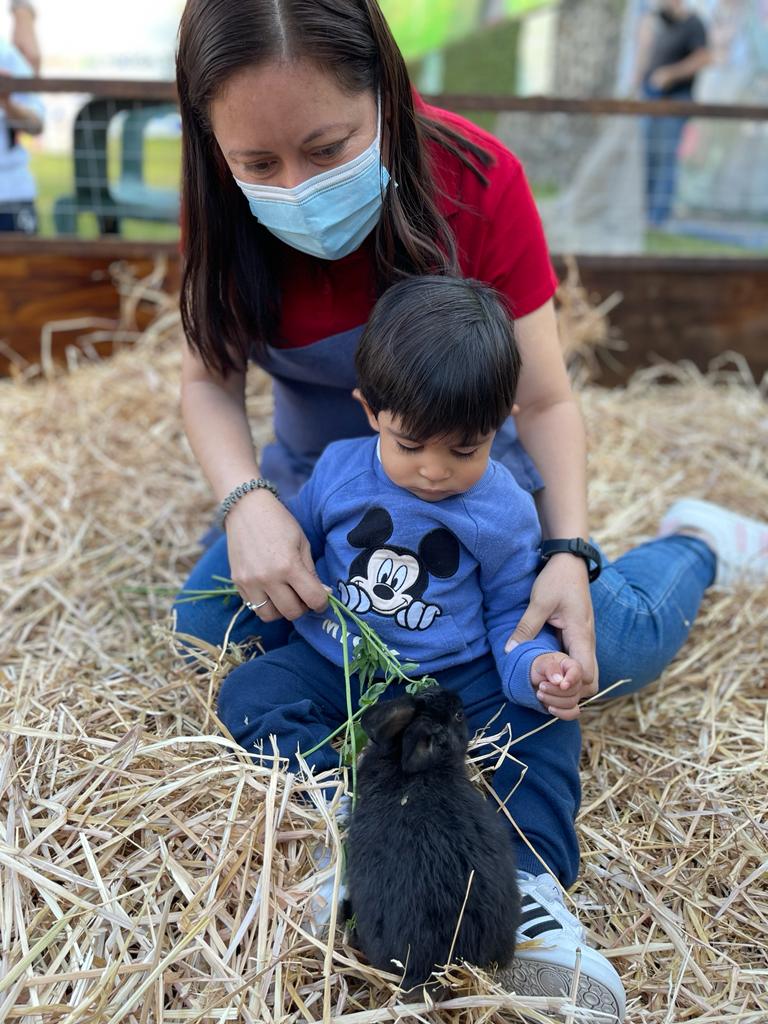 WhatsApp Image 2021-11-23 at 9.44.07 PM (1)